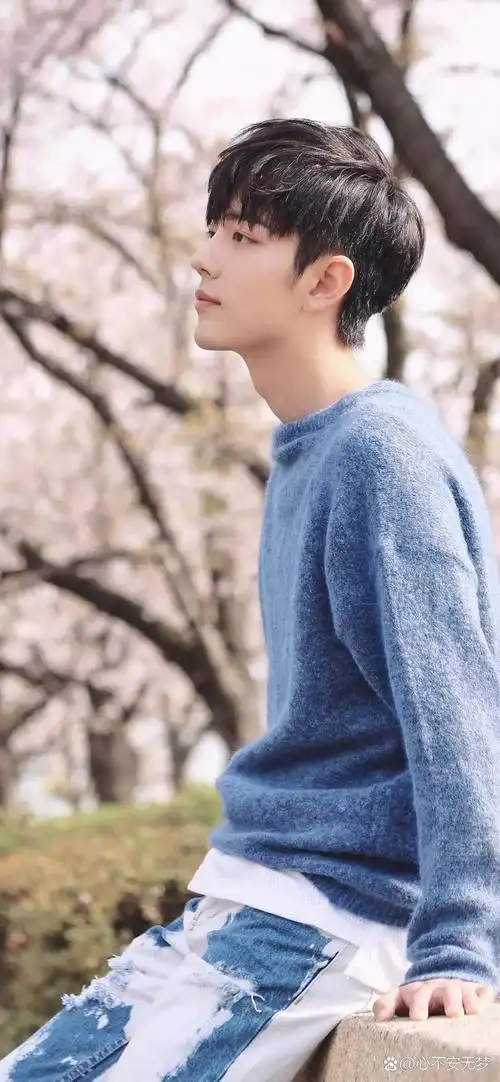 肖战魅力壁纸大放送,心动瞬间全捕捉!