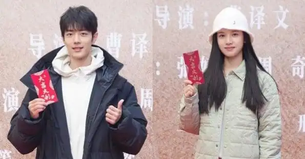 《藏海传》许凯,田曦薇主演的《子夜归》,改编自扶华小说《梅夫人宠夫