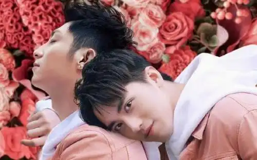 黄景瑜把手放到许魏洲的是什么意思梗