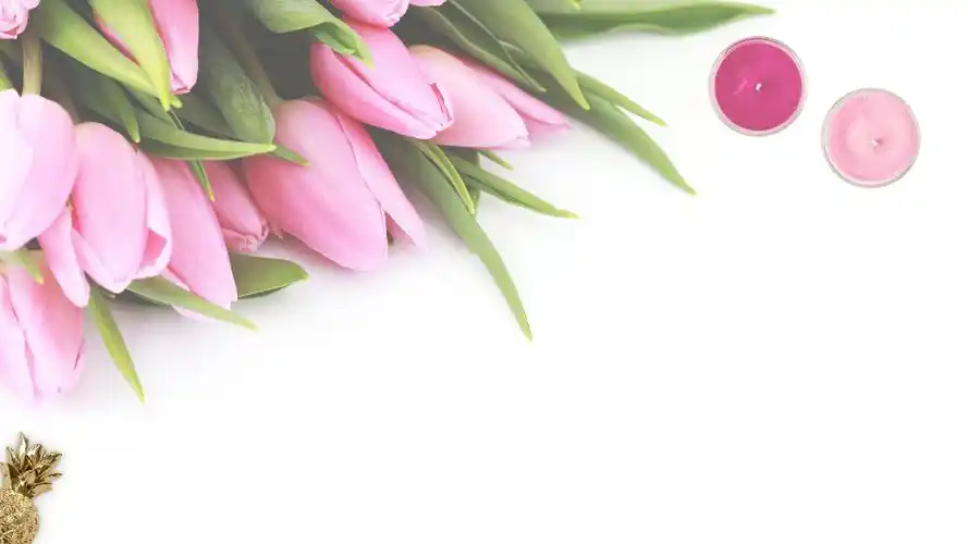 粉色的花少女的心