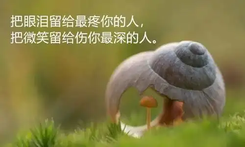 无奈人生感悟句子简短
