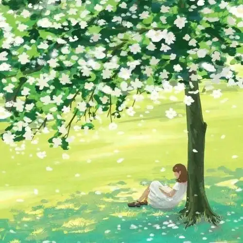 30一40岁成熟女人头像 高清简单干净有品位的女人微信头像图片_女生