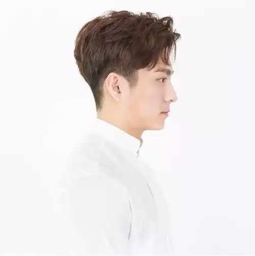 二八分内扣逗号刘海男