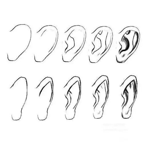 耳朵简笔画简单