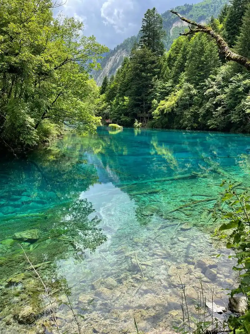 九寨沟风景 #一起享受大自然的美 #大山深处自然美山清水秀 - 抖音