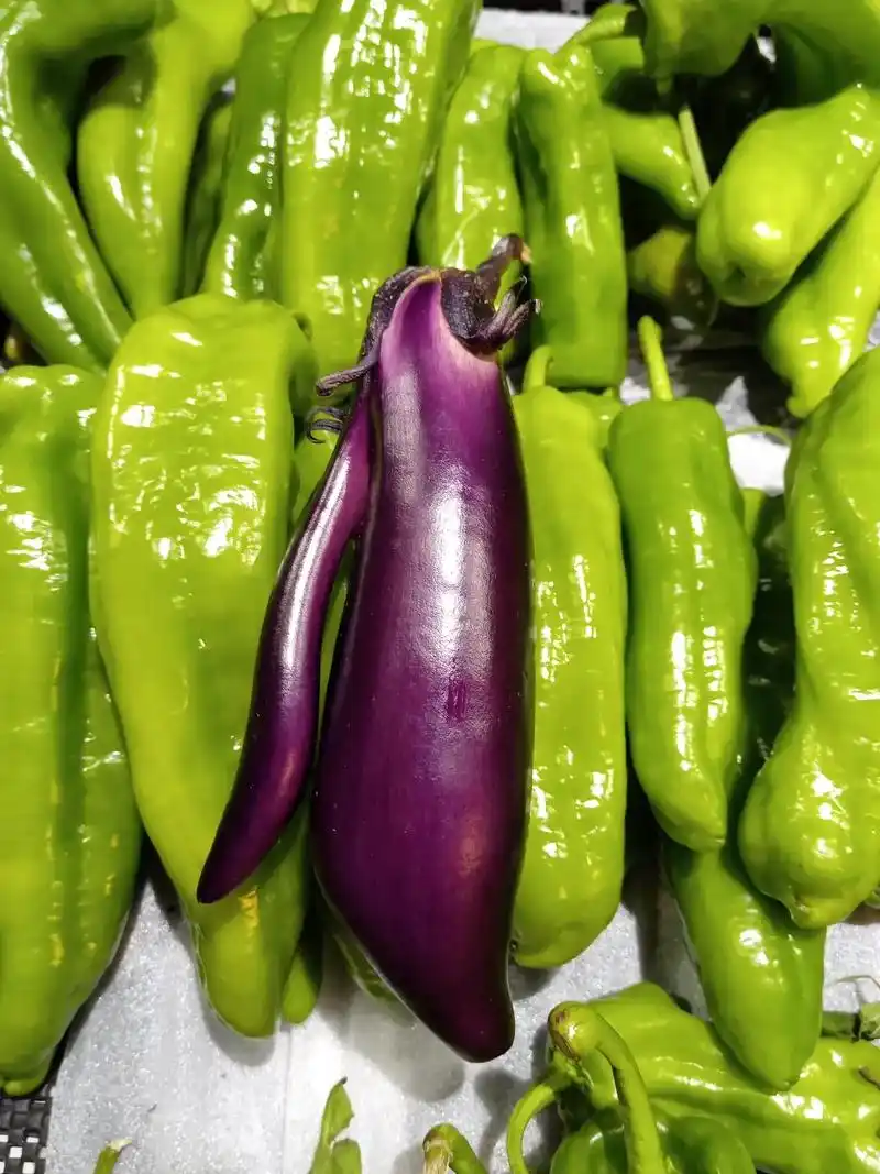 图片欣赏《奇异的茄子》 - 抖音