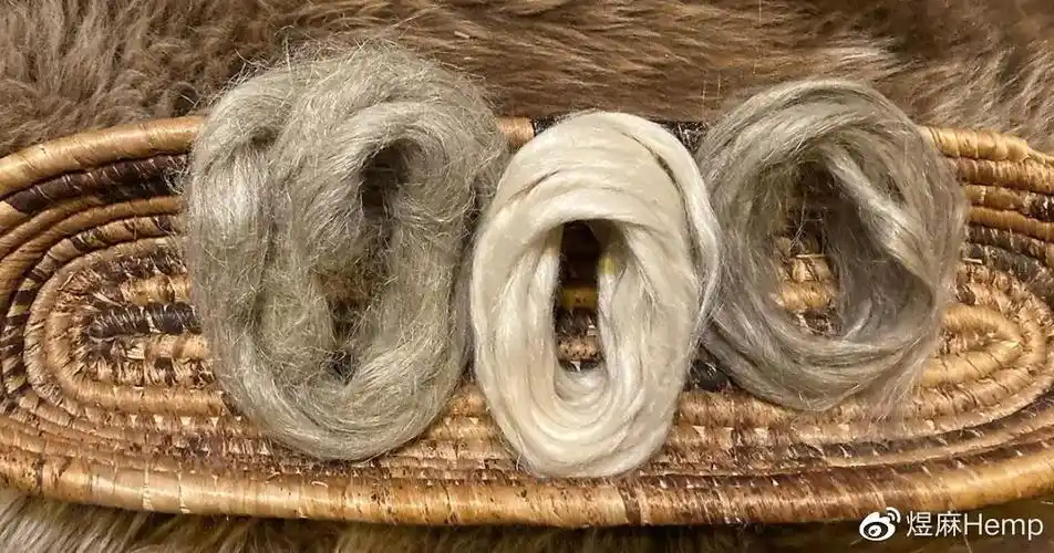 品牌的张力源自优越的汉麻纤维