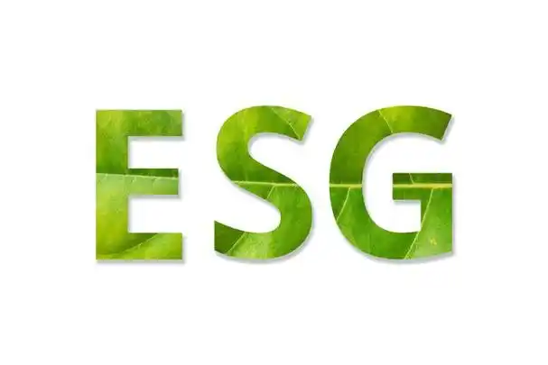 一文读懂头部为什么企业都在谈esg?