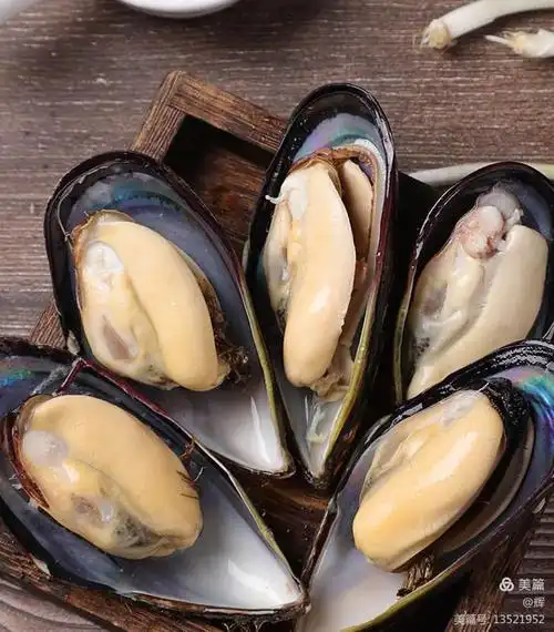 春季赵县信誉楼海鲜柜组带您吃海鲜——贝壳类