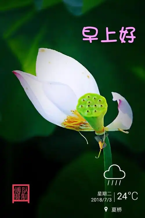 问候摄影作品"早上好"第三季,与大家见面.