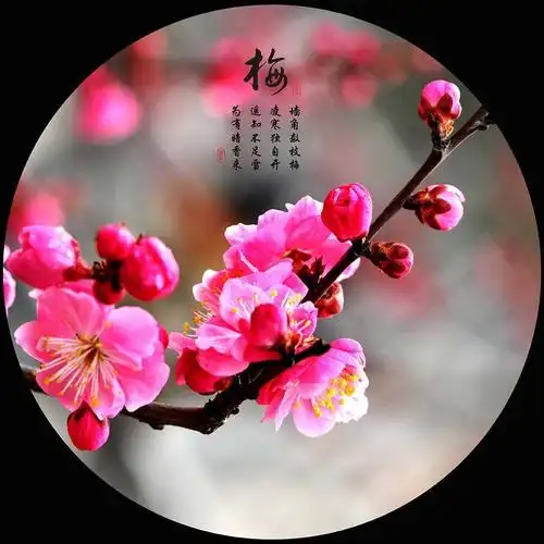 多彩课堂——手工制作