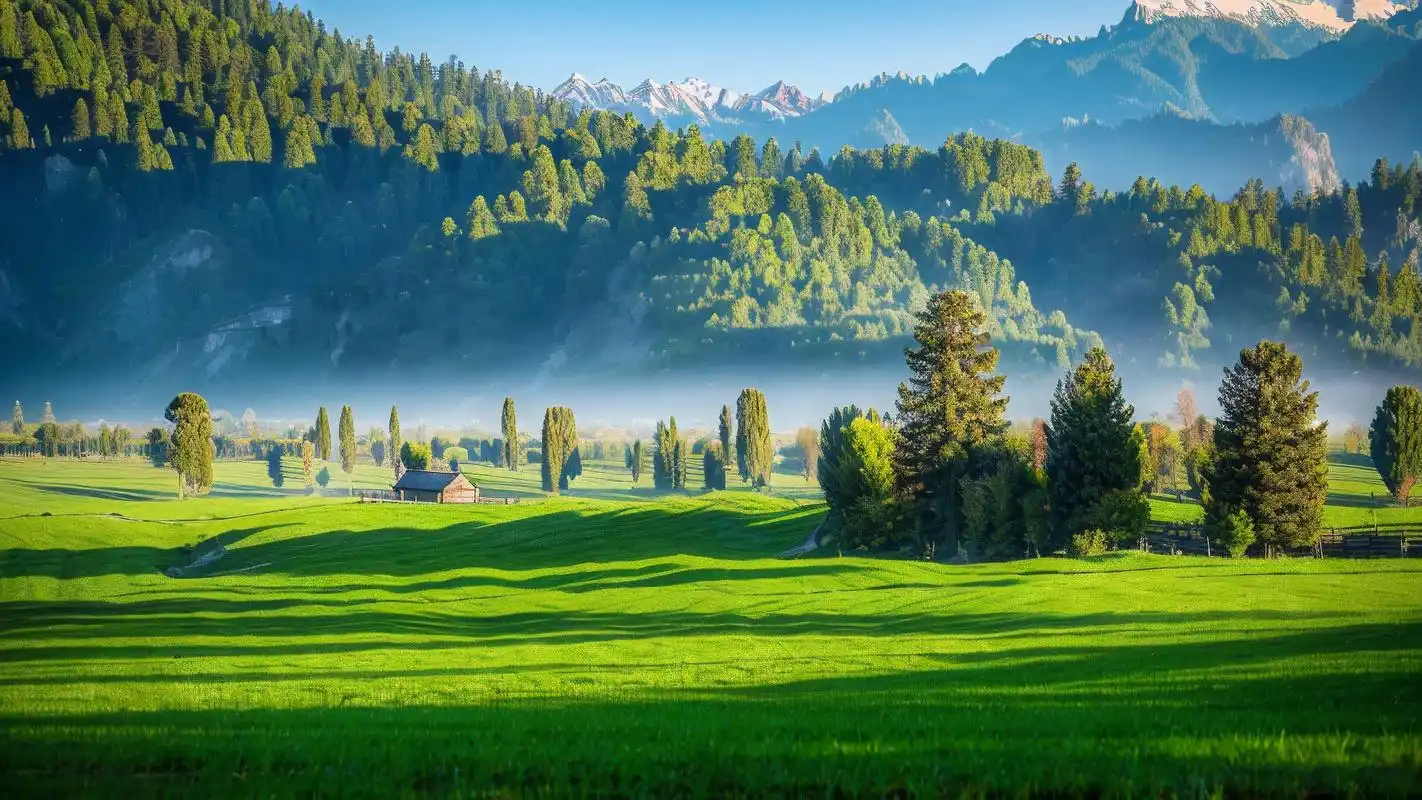 清新绿草背景图来啦97 亲们,想要给手机或电脑桌面换上一款清新养眼