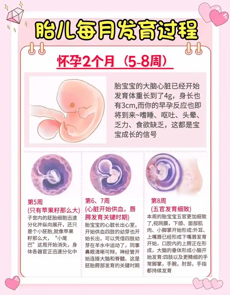 孕育是一件幸福的事,感叹生命的神奇,每个妈妈都是伟大的,祝所 - 抖音