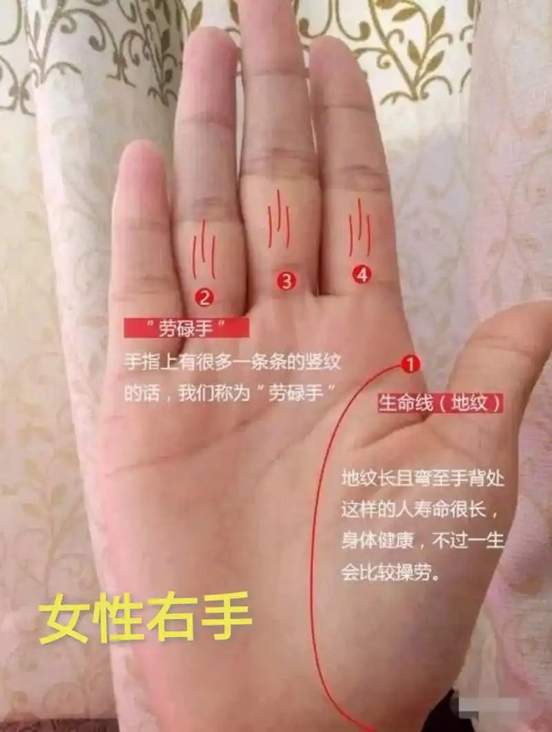 国学文化科学了解手手纹生命线知识图解 - 抖音