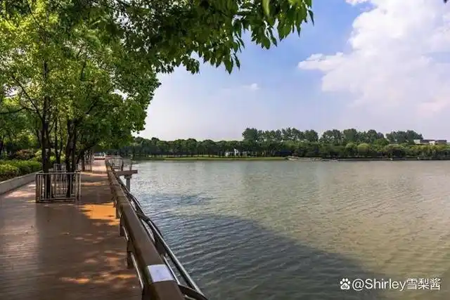 昨天介绍了马桥老街,其实对于闵行区的马桥镇来说,位于马桥镇的旗忠村