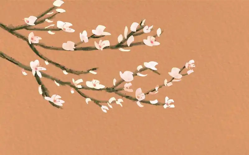 杏花杂诗元好问拼音