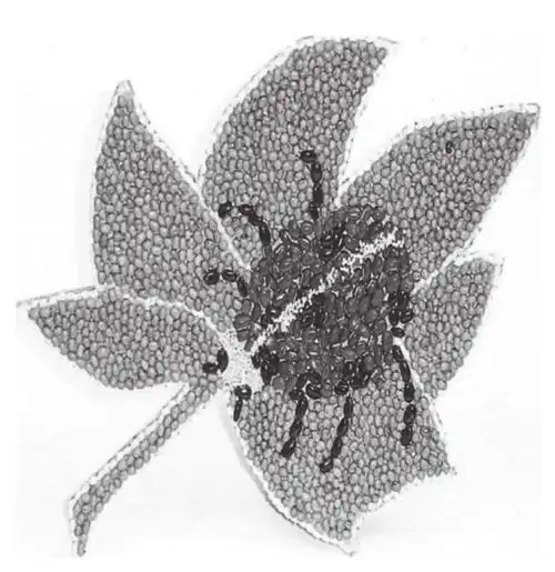 点状材料的粘贴