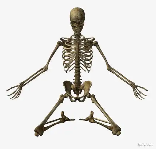 跪拜的骷髅png素材透明免抠图片装饰效果