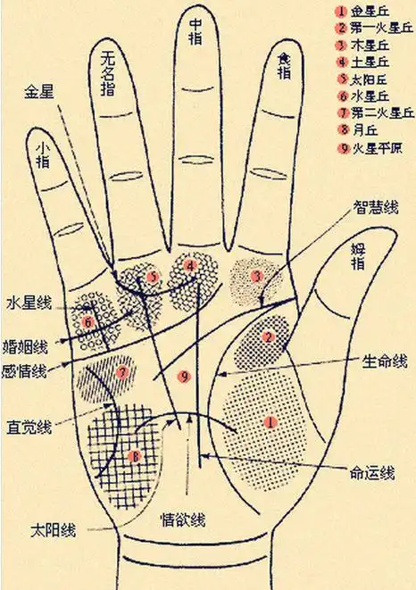 手相预知你的命运