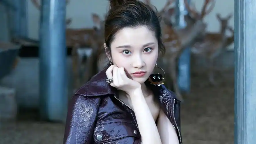 张慧雯明星明星风尚壁纸