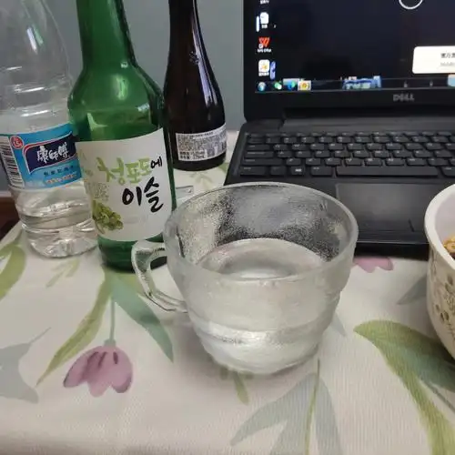 一个人,两只猫,在家里,吃着饭,看着剧喝着酒.