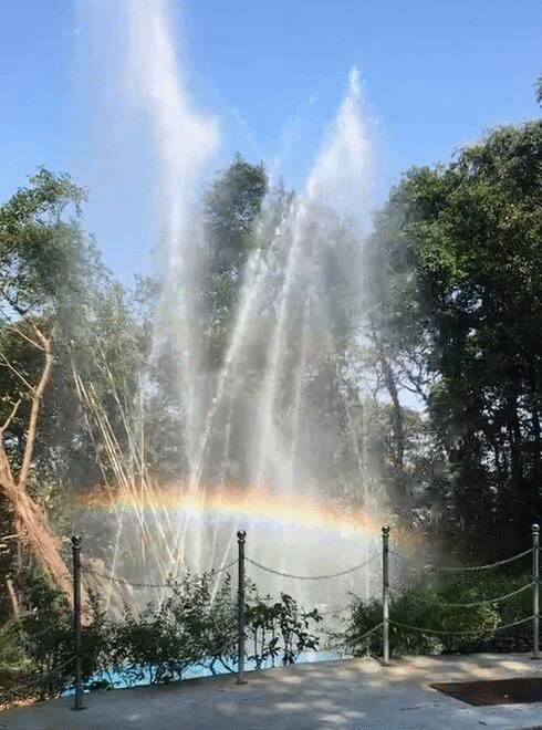 490_660竖版 竖屏gif 动态图 动图