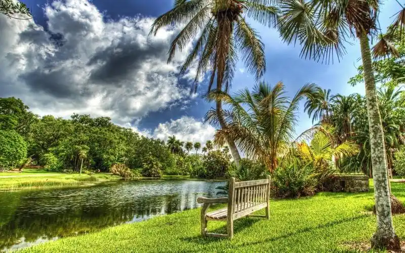 夏天在公园高清桌面壁纸:宽屏:高清晰度:全屏