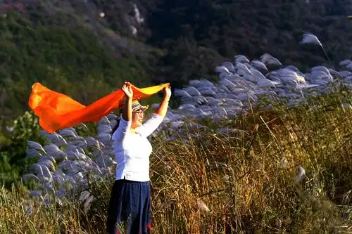 人到中年恰如秋