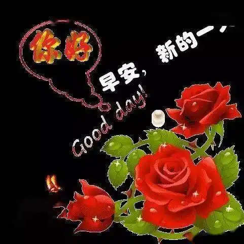 问候大家早上好的早安祝福语图片早晨好问候祝福语短信