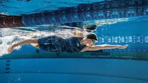 自由泳的四个小技巧,初学者看过来!|游泳|脚面_网易订阅