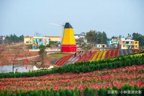 浪漫又华丽的五彩城观光花博园