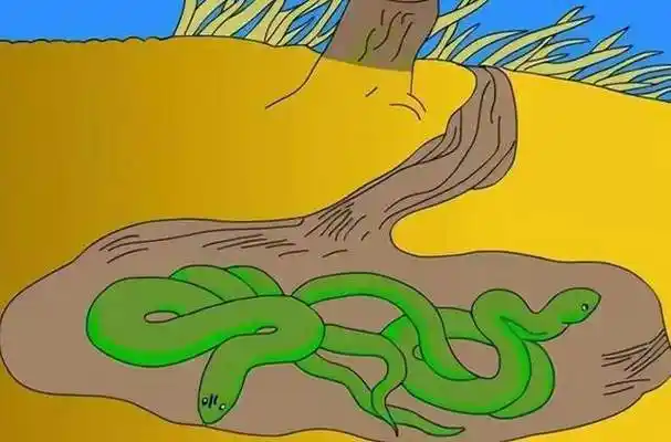 海南一公园惊现蟒蛇长约2米重30斤温度不低蛇就不用冬眠吗