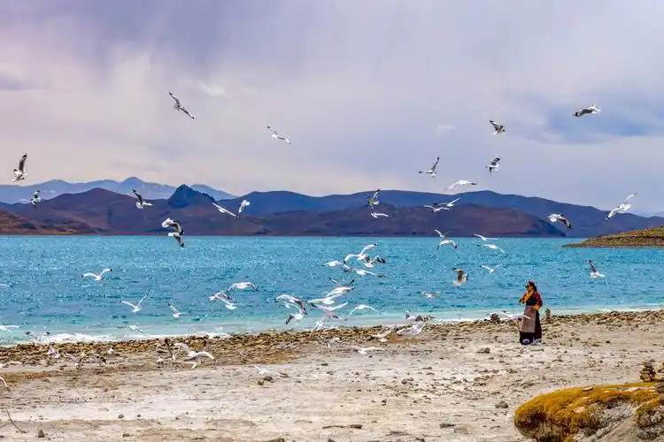 羊湖美景引客来