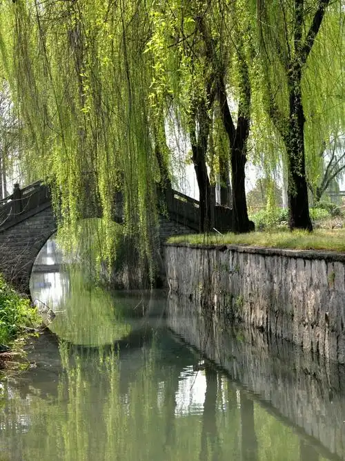 小桥流水别有致