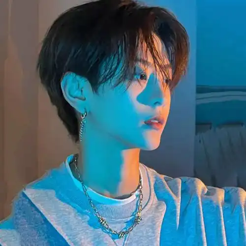 52包邮假发男短发中老年人韩版帅气中青年男士短直发发型爸爸中分