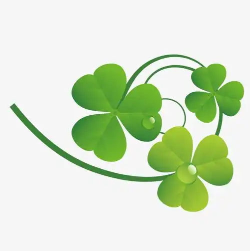 四叶草装饰简笔画 简笔画图片大全-蒲城教育文学网