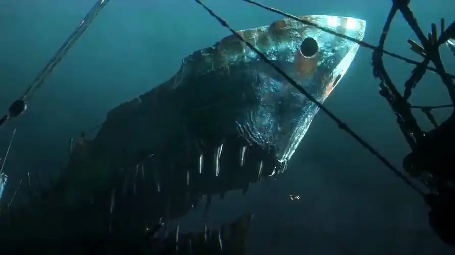 一部特效震撼科幻片,海洋被工业污染,鱼类集体变异机械化!