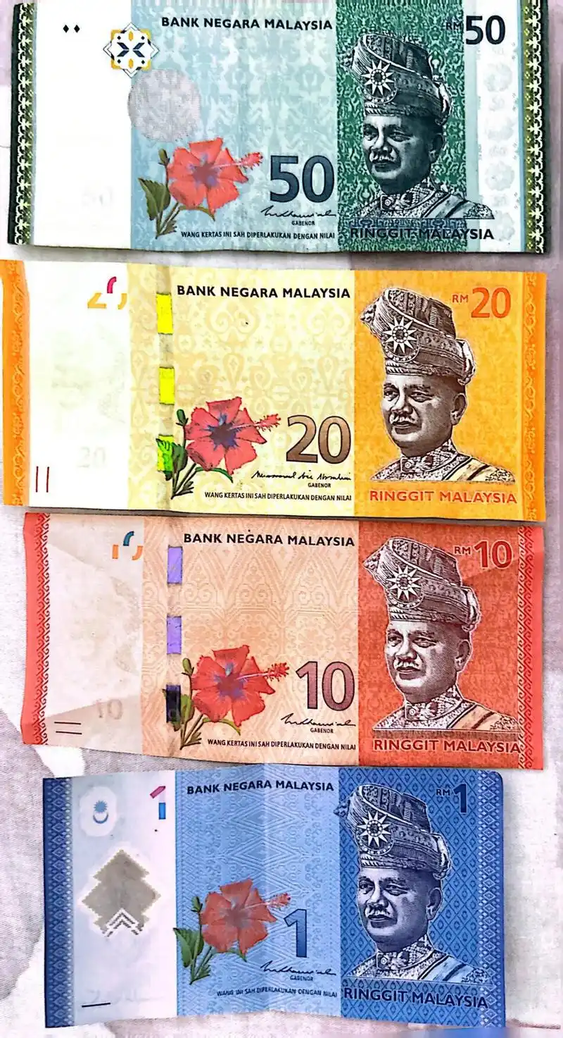 看着这些熟悉的马来西亚令吉,都是满满的回忆. - 抖音