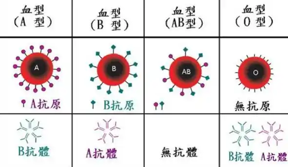 用唾液也能测血型?以后改吐口水认亲了?