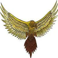 可做微信头像飞翔的鹰