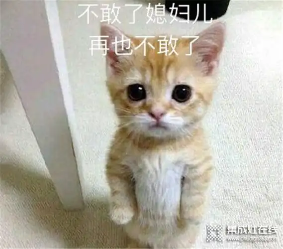 有了亿田集成灶再苛刻的厨房要求都能满足再也不怕惹老婆生气了