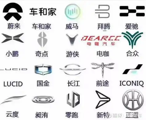 观察新能源品牌