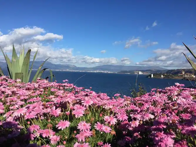 面朝大海,春暖花开