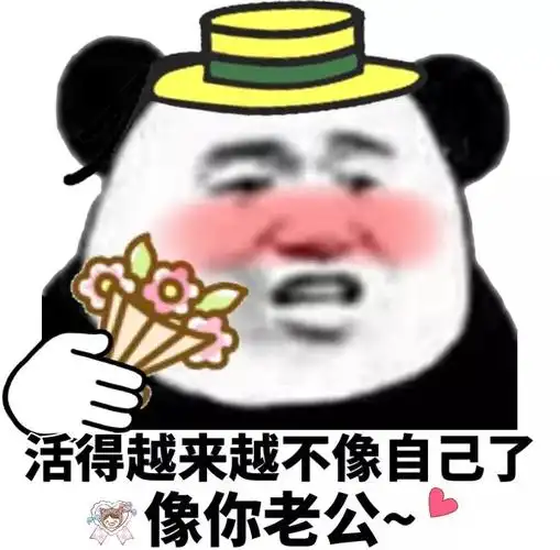 熊猫头表情包i今天就是情人节了提醒一下我单身