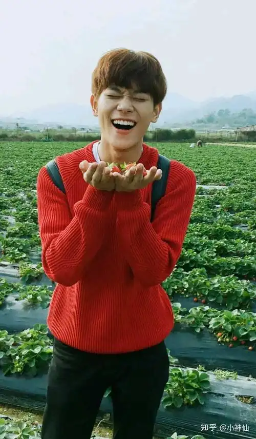 有哪些治愈系笑容的男明星?