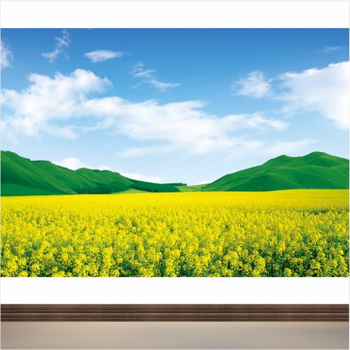 油菜花蓝天白云田园风光风景画墙贴植物花卉儿童房餐厅卧室装饰画