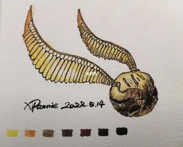 哈利波特之金色飞贼水彩画