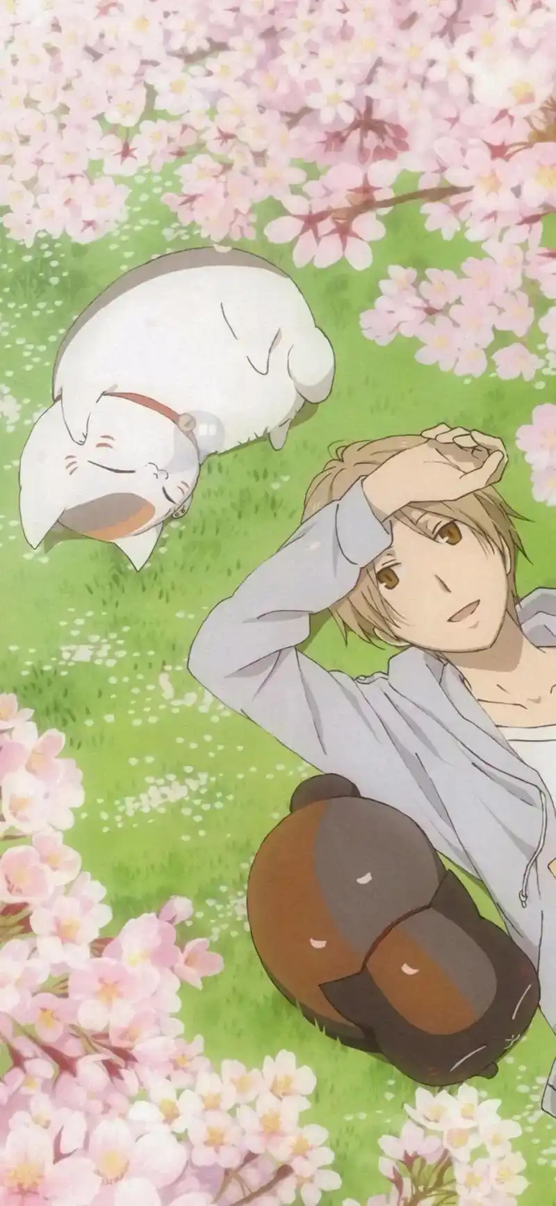 有一种温柔叫夏目