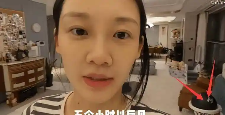 苗苗再晒豪宅细节2岁女儿婴儿车放门口郑恺还有懒人沙发