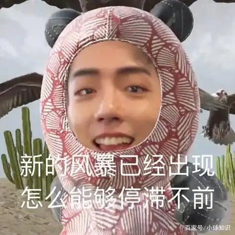 肖战表情包合集